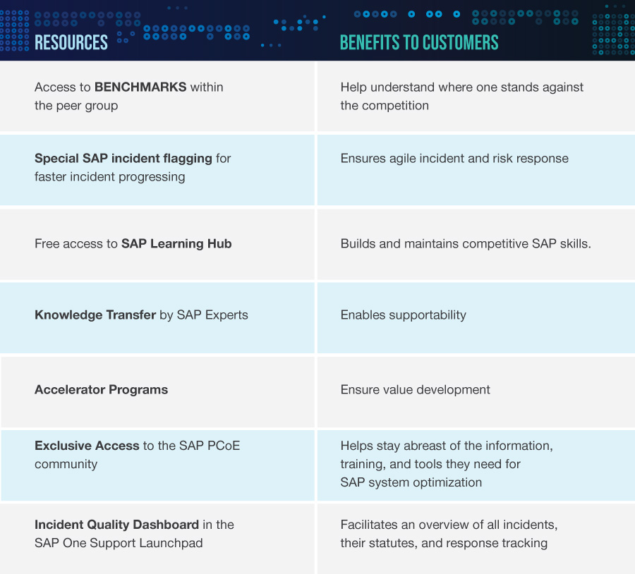 SAP PCoE 